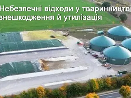 Ефективна та безпечна утилізація відходів тваринництва