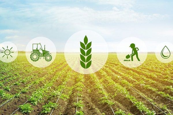 Круглий стіл для аграріїв: готовність до впровадження вимог кліматичної та довкіллєвої політики ЄС