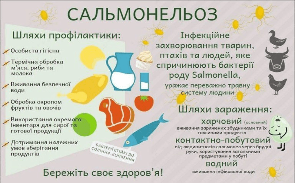 Профілактика сальмонельозу